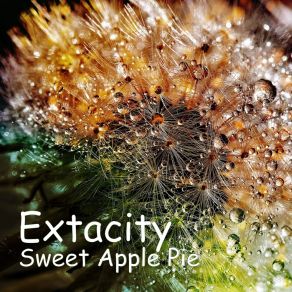 Download track Stretching Sweet Apple Pie