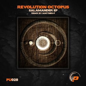 Download track Salamander (Original Mix) Revolution Octopus