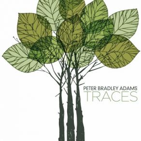 Download track Darkening Sky Peter Bradley Adams