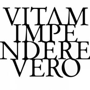 Download track True Gold Vitam Impendere Vero