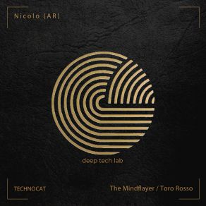 Download track The Mindflayer Nicolo (AR)