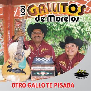 Download track Se Me Van Las Ganas Los Gallitos De Morelos