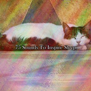 Download track Sleepy Island Nature Sounds