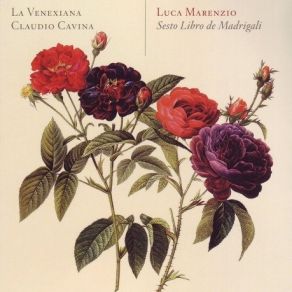 Download track 17. Ecco Maggio Seren Chi Lha Vestito Luca Marenzio