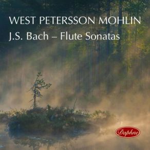 Download track Flute Sonata In B Minor, BWV 1030: III. Presto Kristine West