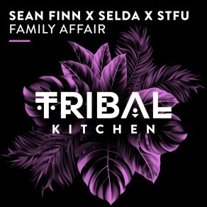 Download track Family Affair (Extended Mix) Stfu