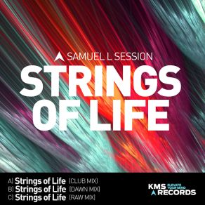 Download track Strings Of Life (Raw Mix) Samuel L. Session