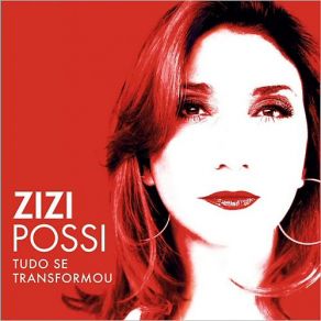 Download track Porta Estandarte Zizi Possi