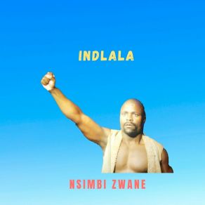 Download track Uyangiqholoshela Mkami Nsimbi Zwane