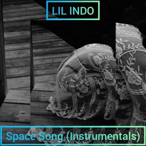 Download track Space Song (Instrumental Slowed Down) Lil INDO