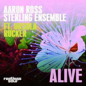 Download track Alive (Dub) Ursula Rucker, Sterling Ensemble, Aaron Ross