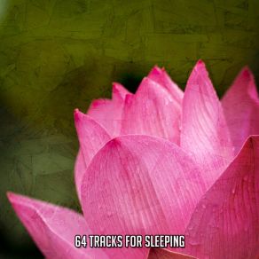 Download track Nights Grace Serenity Spa Music Relaxation