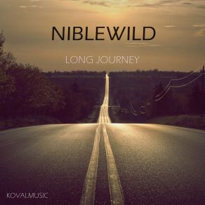 Download track Long Journey (Extended Mix) Niblewild