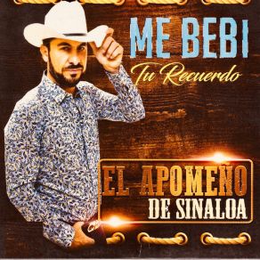 Download track El Talento El Apomeño De Sinaloa