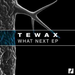 Download track Time Tewax