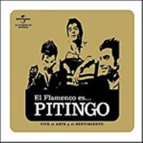 Download track Fiesta Por Tangos Pitingo