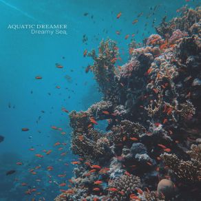 Download track Floating Bed Aquatic Dreamer