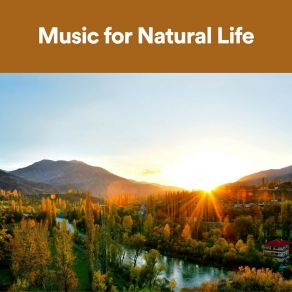 Download track Sheer Surging Of Life Sounds Backgrounds