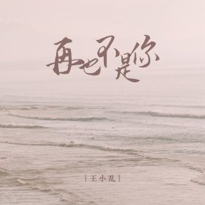 Download track 再也不是你 (Dj光波版伴奏) 王小乱光波