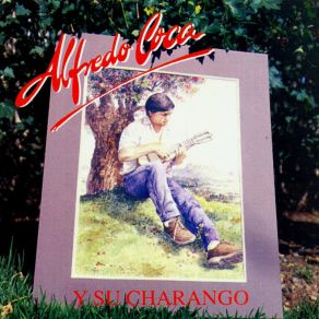 Download track Suspiros Su Charango