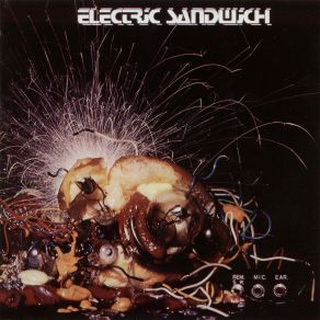 Download track Devil'S Dream Electric Sandwich