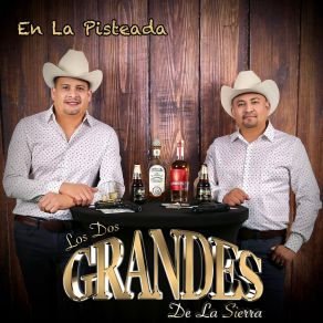 Download track Pájaro Prieto Los Dos Grandes De La Sierra