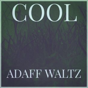 Download track Acid Adaff Waltz