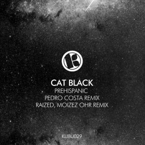 Download track Prehispanic (Raized, Moizez Ohr Remix) Black Cat