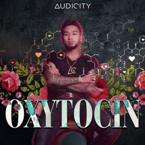 Download track Tết Xuân Audicity