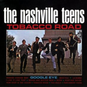 Download track Tennessee Woman (Bonus) The Nashville Teens