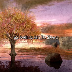 Download track Silky Smooth Sleep White Noise For Baby Sleep