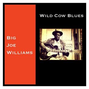 Download track Stack O'dollars Big Joe Williams