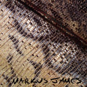 Download track Sundown Pearl (Snakeskin Violin Pt 1) Markus James