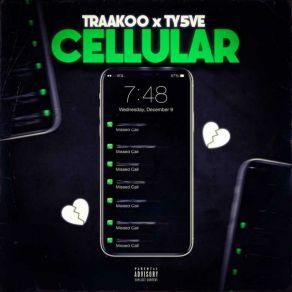 Download track Cellular Traakoo