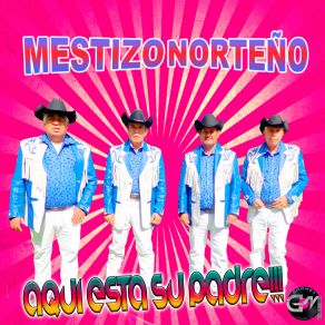 Download track Raul Dominguez Mestizo Norteno