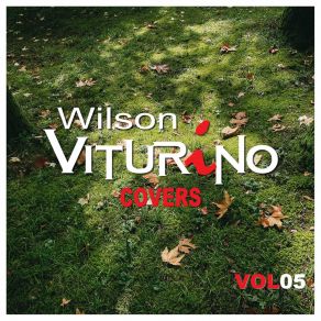 Download track How Can You Mend A Broken Heart (Cover) Wilson Viturino