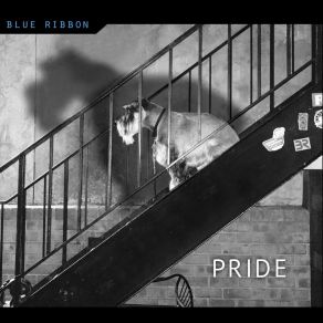 Download track Nrg Blue Ribbon