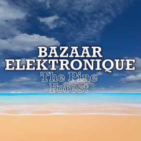 Download track Void E Stars Bazaar Elektronique