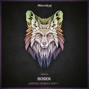 Download track Jarpeed (MasterSlave Remix) BosekMasterslave