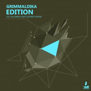 Download track Reversed Reality (Original Mix) Grimmaldika