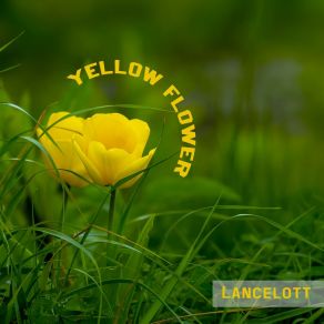 Download track Lovely Lancelott