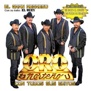 Download track La Vida Sin Ti Oro Norteño