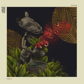 Download track Pó De Guaraná (Kajan Chow Acid Dub Remix) XAXIM