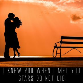 Download track I Knew You When I Met You Stars Do Not Lie