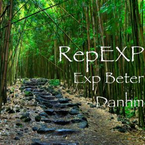 Download track Exp Beter Danhm RepEXP