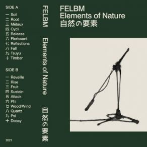 Download track Wood / Wind Felbm