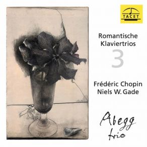 Download track Piano Trio In G Minor, Op. 8, B. 25: I. Allegro Con Fuoco Abegg Trio