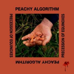 Download track How Many Nearly Gods Do You Want Peachy Algorithm