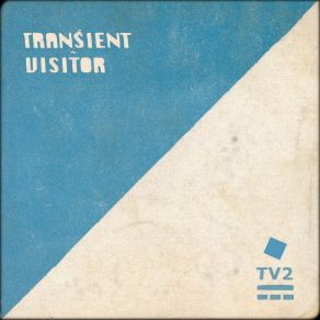 Download track Oscillations Transient Visitor