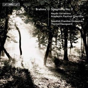 Download track 10. Variations On A Theme By Haydn, Op. 56a St. Anthony Variations Var. 5, Vivace Johannes Brahms